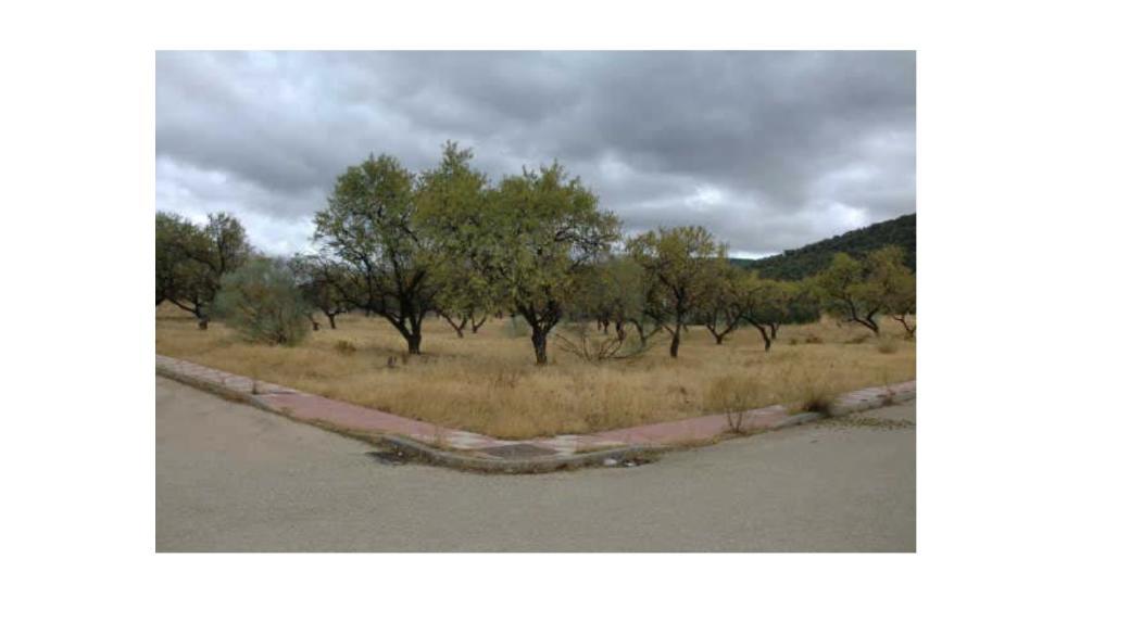 Finca Urbanizable en Parcela 11.5 - Mancha Real (Jaén)