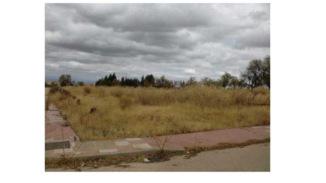 Finca Urbanizable en Parcela 11.6 - Mancha Real (Jaén)