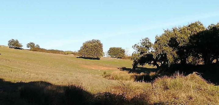 Finca Rústica en Higuera La Real (Badajoz)